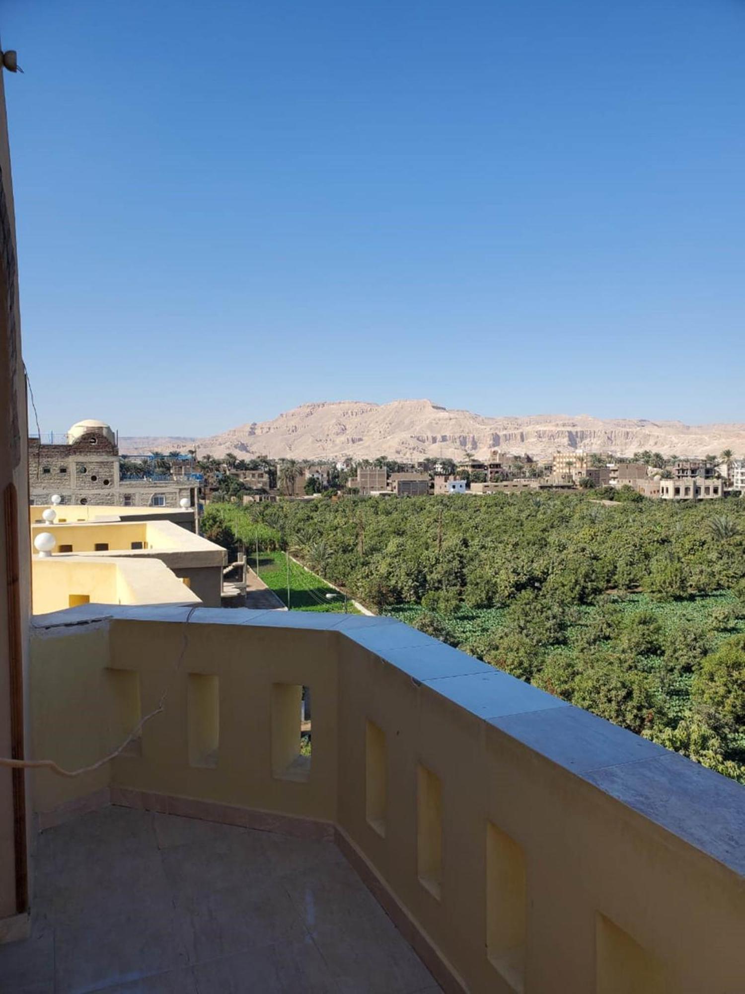 Egypt Villa Garden Luxor Exterior photo
