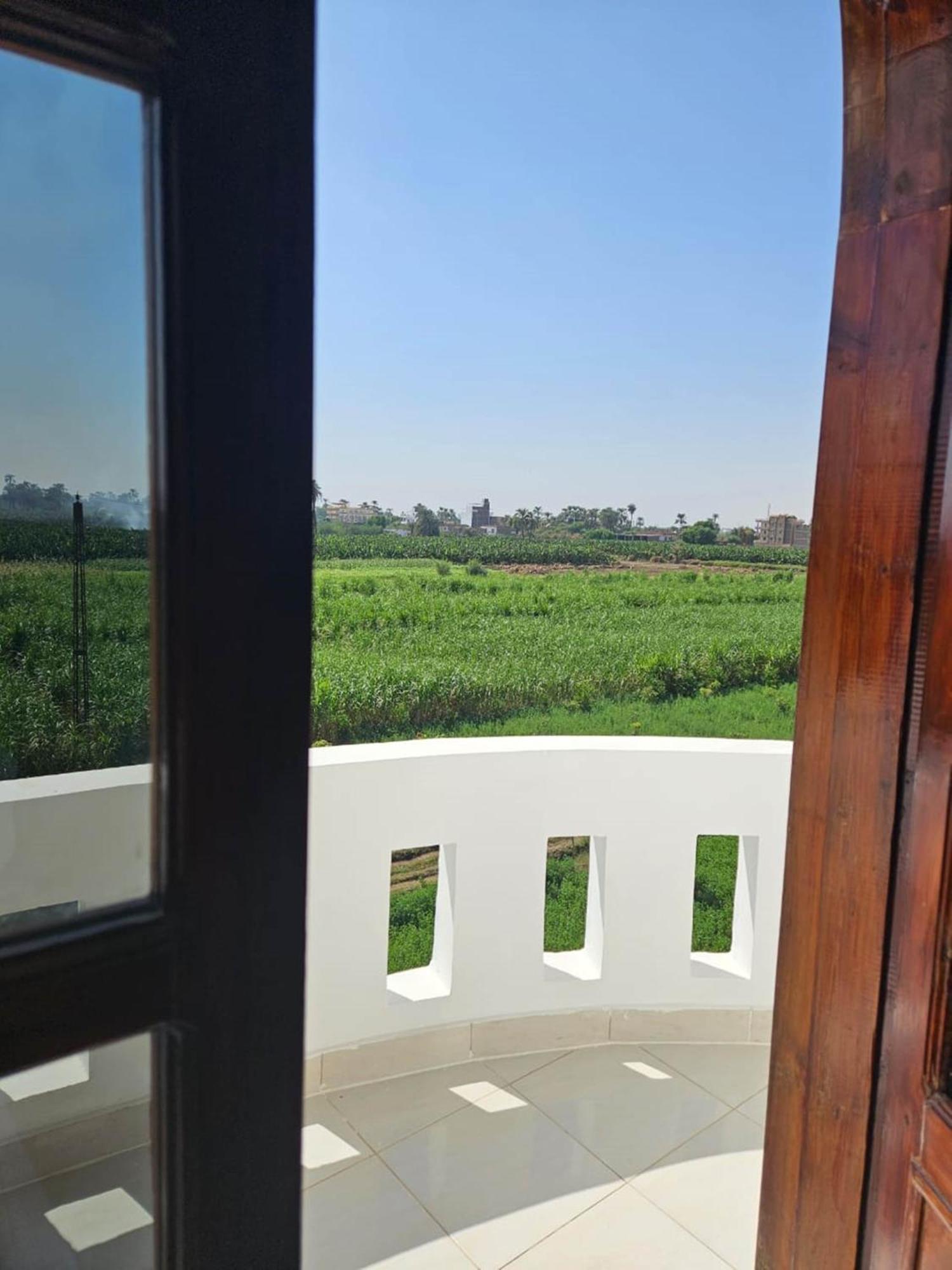 Egypt Villa Garden Luxor Exterior photo