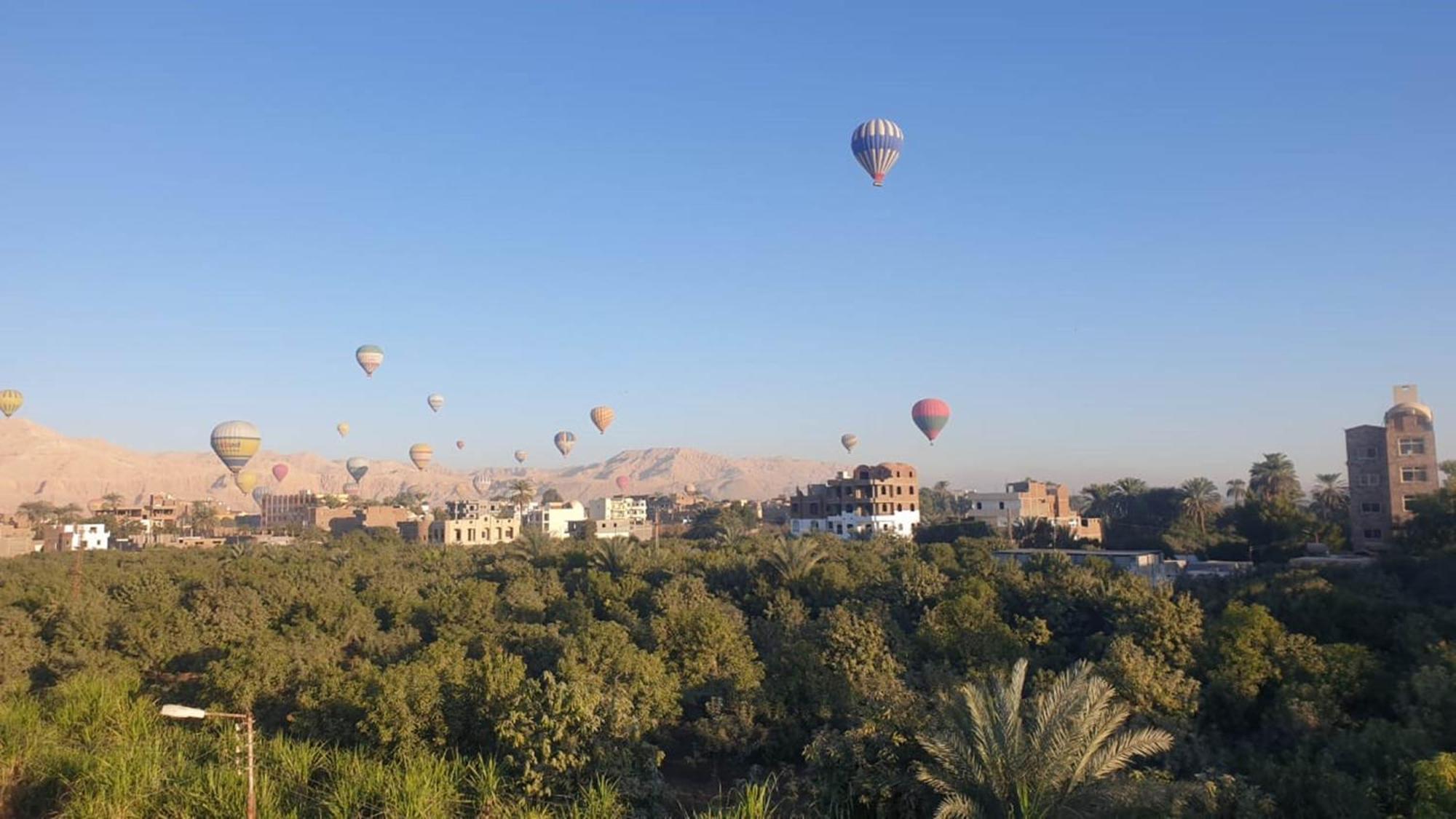 Egypt Villa Garden Luxor Exterior photo