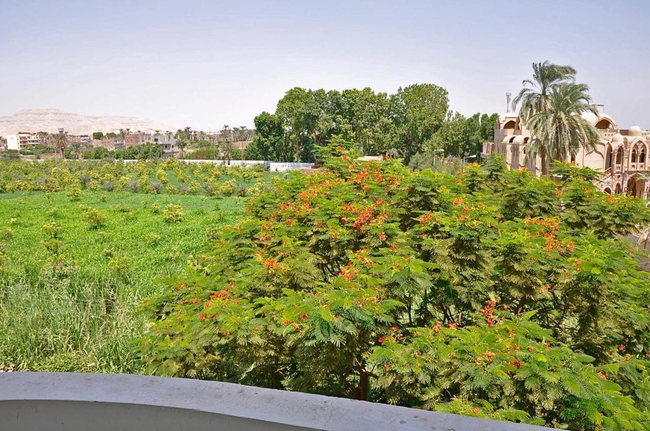 Egypt Villa Garden Luxor Exterior photo